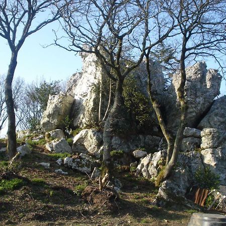 Le Rocher Du Samoyede Dirinon Exterior photo