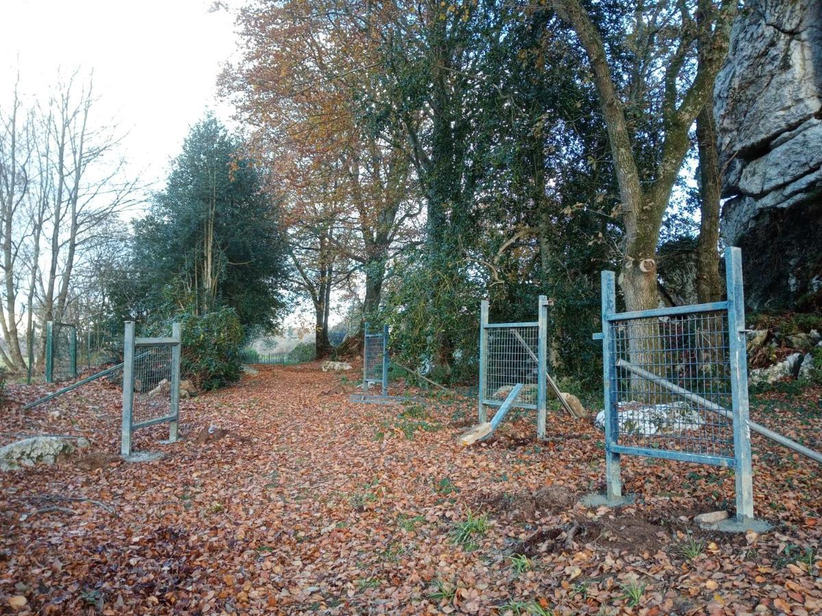 Le Rocher Du Samoyede Dirinon Exterior photo