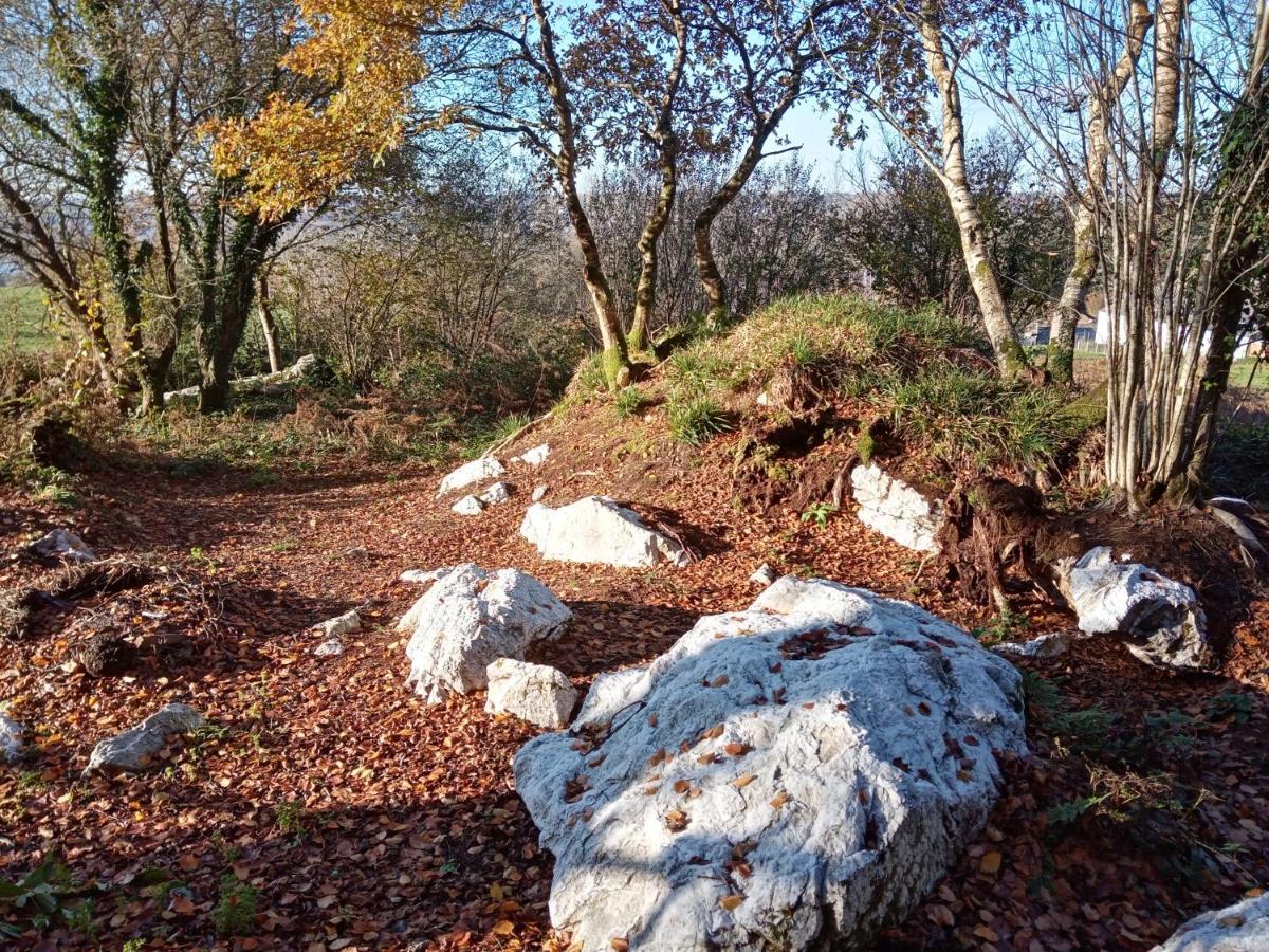 Le Rocher Du Samoyede Dirinon Exterior photo