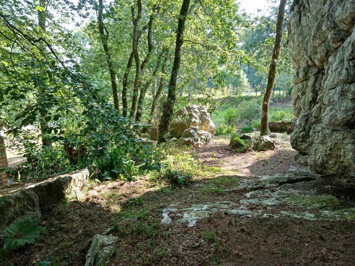 Le Rocher Du Samoyede Dirinon Exterior photo