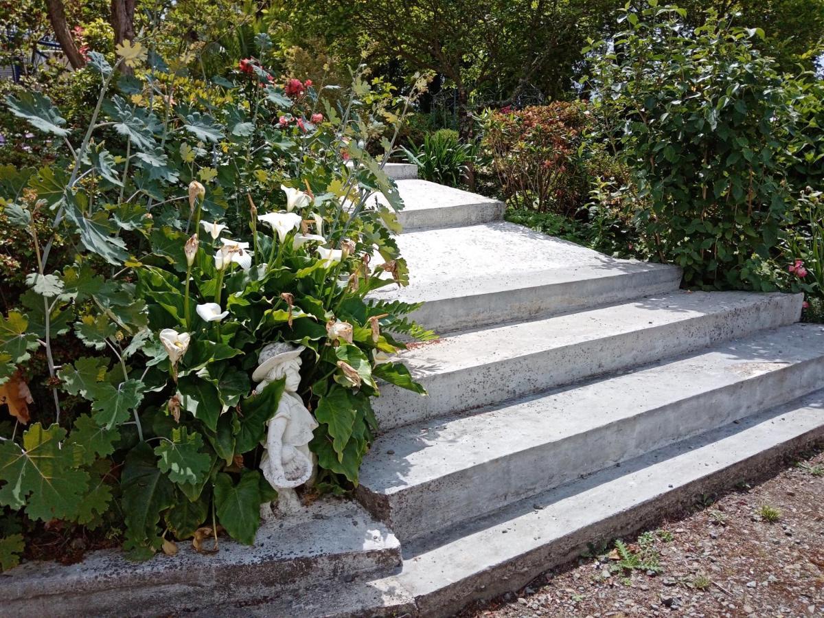 Le Rocher Du Samoyede Dirinon Exterior photo