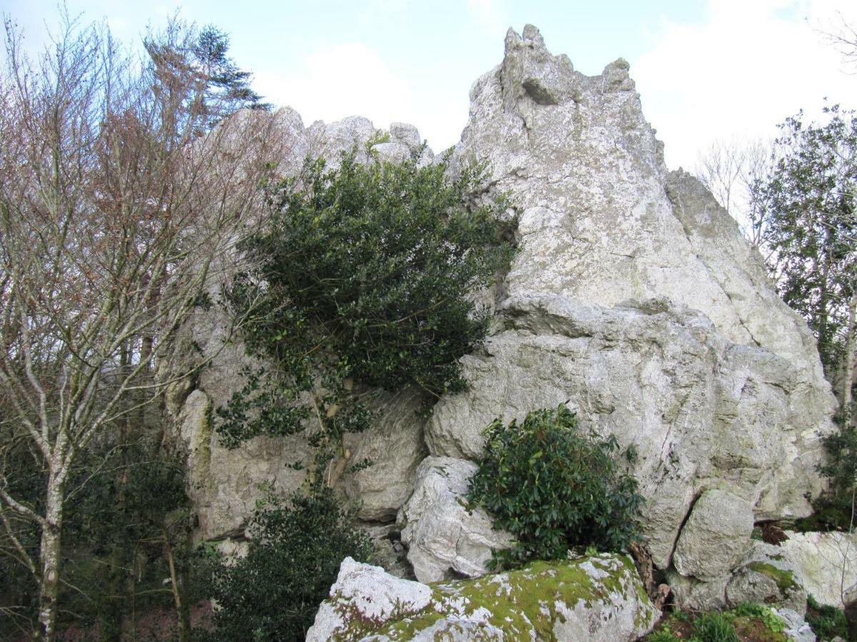 Le Rocher Du Samoyede Dirinon Exterior photo